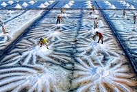 Điểm tham quan cánh đồng Muối Bạc Liêu (Ảnh Phan Thanh Cường)