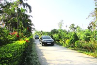 Hạ tầng giao thông long Mỹ ngày một hoàn thiện.