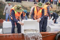 Các đại biểu thả cá giống xuống sông Hồng. (Ảnh: Công Luật/TTXVN).