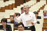 Đại biểu Trần Văn Lâm phát biểu tại phiên thảo luận. (Ảnh: Duy Linh).