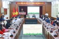 Lễ hội Đền Hùng, Tuần Văn hóa - Du lịch đất Tổ và các hoạt động tuyên truyền, giới thiệu, quảng bá di sản văn hóa Việt Nam được tổ chức với 5 sự kiện, hoạt động chính.