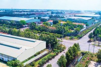 Nhu cầu thuê khu công nghiệp tại TP.HCM lớn dù mặt bằng giá cho thuê cao 