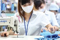 Các doanh nghiệp xuất khẩu đang trong tình trạng đói đơn hàng.