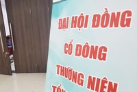 Cổ đông nhỏ là thành phần quan trọng trong giám sát và đảm bảo quản trị hiệu quả cho công ty.