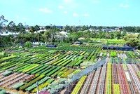 Đồng Tháp ban hành Kế hoạch Phát triển kinh tế tư nhân trên địa bàn