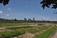 Dù được triển khai từ lâu nhưng Khu đô thị số 11 của Công ty TNHH Chí Thành vẫn chưa hoàn thành.