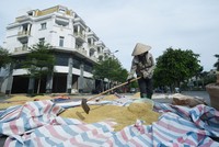 Sẽ mất một thời gian dài nữa để bất động sản bước vào “vụ mới”.