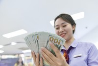 Tỷ giá được dự báo sẽ hạ nhiệt trong phần còn lại của năm.