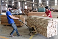 Nhiều chính sách tháo gỡ khó khăn, vướng mắc cho doanh nghiệp được ban hành sau khi báo chí vào cuộc phản ánh, kiến nghị.