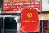 Tuyên Quang: Tạm đình chỉ công tác Chủ tịch UBND xã Tam Đa