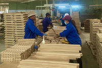 Lao động mất việc thuộc các ngành dệt may, đồ gỗ chiếm lớn nhất.