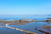 Cầu vượt Phá Tam Giang sẽ góp phần hoàn thiện hệ thống giao thông, kết nối từ TP. Huế và thị trấn Phú Đa, Phú Vang đi các xã ven biển.