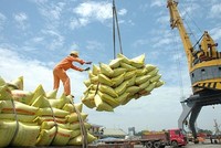 5 tháng 2023, Philippines nhập khẩu 1,62 triệu gạo, trong đó có 1,5 tấn triệu tấn từ Việt Nam.