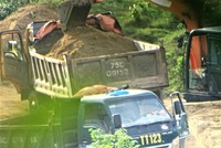 “Đại công trường” khai thác cát sỏi trái phép ở đầu nguồn sông Nong với các phương tiện mang đặc hiệu “TT123” do ông Nguyễn Hữu Thành Tâm và bà Nguyễn Thị Huệ (mẹ ông Tâm) làm chủ. Ảnh chụp ngày 8/5/2023. Ảnh: P.V