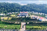 Công ty TNHH Thương mại Hoàng Lan rất bức xúc khi bị cơ quan hải quan quy là khai sai, trốn thuế. Trong ảnh: Cục Hải quan tỉnh Lào Cai.