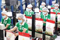 Giá gạo xuất khẩu đang ở vùng đỉnh hơn 2 năm qua