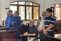 Các bị cáo nghe chủ tọa phiên tòa tuyên án. (Ảnh: Lê Xuân/TTXVN)