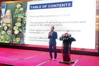 Giám đốc VCCI Cần Thơ cho rằng, vùng ĐBSCL cần có những chiến lược thu hút nguồn vốn đầu tư của cả doanh nghiệp trong và ngoài nước một cách hiệu quả, tận dụng triệt để các thế mạnh vốn có.