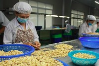 Tình trạng lừa đảo tại thị trường khu vực Trung Đông đã xuất hiện nhiều hơn trước, DN Việt phải cẩn trọng khi giao dịch.