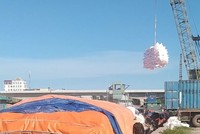 Nhiều doanh nghiệp xuất khẩu tinh bột sắn đang đợi được hoàn thuế giá trị gia tăng.