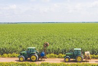 Nhiều doanh nghiệp mía đường ghi nhận lợi nhuận đột biến trong quý II/2023.