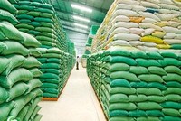 VCCI đề nghị Bộ Công thương tiếp tục giảm các điều kiện đầu tư kinh doanh xuất khẩu gạo, tiến tới tự do hoá thị trường.