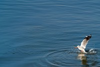 Nhiều quỹ đầu tư “kín tiếng” săn hàng 