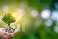 Xây dựng các sản phẩm tài chính xanh 