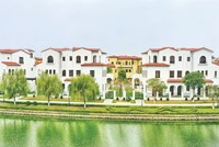 Khuôn viên xanh ngát trong dự án Nam An Khánh của Sudico.