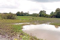 Vị trí khu đất NSH Petro được UBND tỉnh Sóc Trăng cho thuê để thực hiện dự án tại Cụm công nghiệp Ngã Năm.