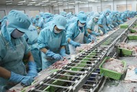 Các doanh nghiệp thủy sản đang chuẩn bị cho mùa tiêu dùng cuối năm.