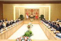 Thủ tướng Chính phủ Phạm Minh Chính hội đàm với Thủ tướng Singapore Lý Hiển Long (Ảnh: Đức Thanh).