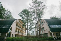 Đà Lạt là điểm đến được du khách Việt tìm kiếm nhiều nhất trong dịp Lễ 2/9