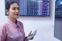 Cổ phiếu của các doanh nghiệp chi trả cổ tức bằng tiền mặt thường được nhà đầu tư quan tâm.