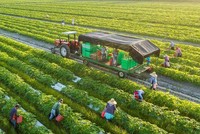 Việc phát triển nông nghiệp đa giá trị phải bắt đầu từ người nông dân, họ phải sẵn lòng chuyên nghiệp hóa chính mình.