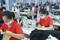 Kinh tế Việt Nam và một số thị trường xuất khẩu lớn đang dần phục hồi, mang lại triển vọng sáng cho nhiều lĩnh vực.