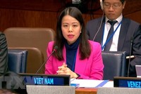 Bà Nguyễn Minh Hằng phát biểu tại Trụ sở Liên hợp quốc ở New York, Mỹ. (Ảnh: TTXVN)