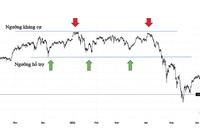 Nhiều dấu hiệu của thị trường “răng cưa”