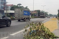 Quốc lộ 2 đoạn qua thị trấn Đạo Đức, Bình Xuyên, Vĩnh Phúc. (Ảnh: Hoàng Hùng/TTXVN)