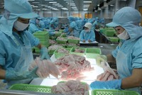 Thủy sản là một trong những ngành ghi nhận sự cải thiện tích cực về đơn hàng.