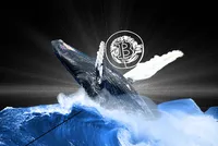 Quý I/2026, nhóm các nhà đầu tư "cá voi" Bitcoin cắt lỗ hơn 30 tỷ USD