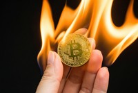 Bitcoin quay trở lại mốc 80.000 USD sau chuỗi ngày "ngụp lặn" kéo dài