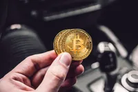 Nhà đầu tư "dài hạn" Bitcoin nhất quyết không buông tay bất chấp thị trường lao dốc