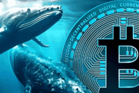 Bitcoin lùi bước trước áp lực chốt lời từ "cá voi"