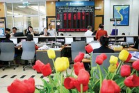 Nới room gần như là điều kiện quyết định để các ngân hàng hút được dòng vốn ngoại