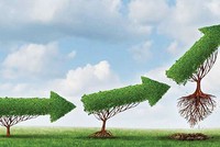 Khẩu vị quản trị của khối ngoại