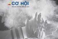 Vì sao Báo cáo của HSC đạt điểm cao về quản trị?