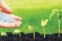 Top 10 Báo cáo Phát triển bền vững: Thành tích đáng khen và những điểm cần cải thiện