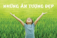 Những ấn tượng đẹp mùa báo cáo thường niên 2016