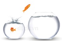 Phong thủy nhà ở với sức khỏe con người